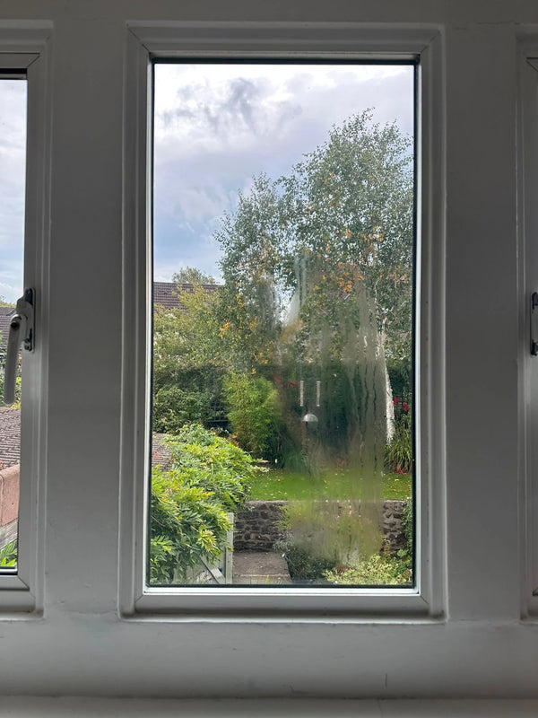 Misty window with condensation streaks between panes obscuring garden view in Bristol